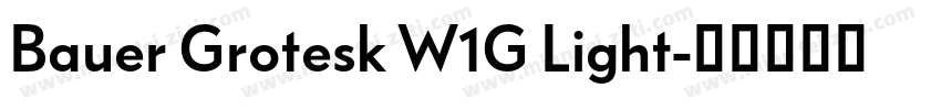 Bauer Grotesk W1G Light字体转换